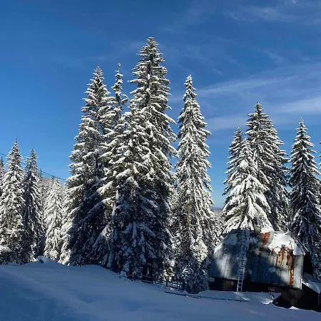 Studio * Jahorina