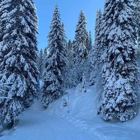 Lägenhet Studio Jahorina