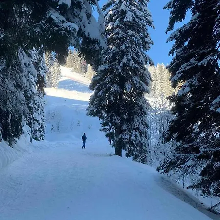 Studio * Jahorina