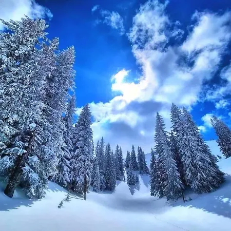 Lägenhet Studio Jahorina